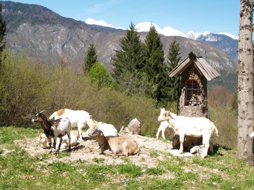 Penzion Rozic Bohinji-tó Kültér fotó